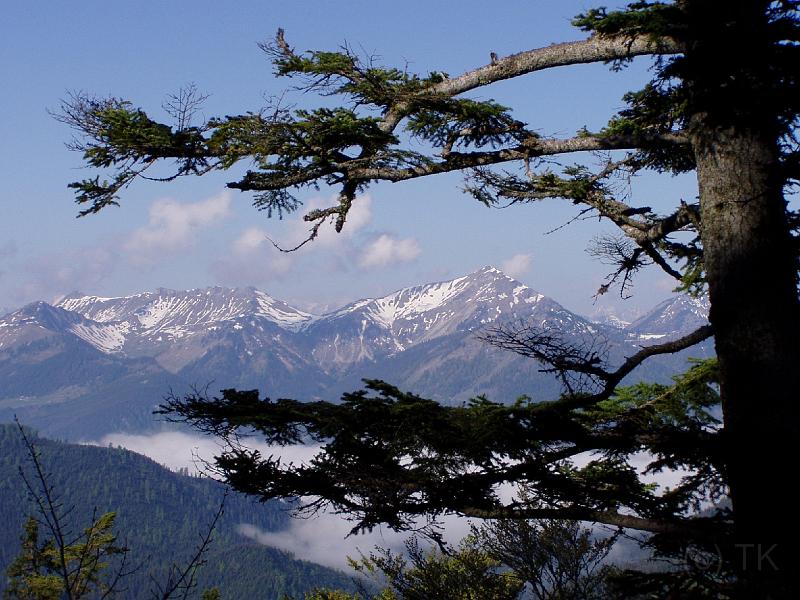 P5290143_040529_Halserspitz_Juifen.jpg - Blick vom Blaubergkamm zum Juifen