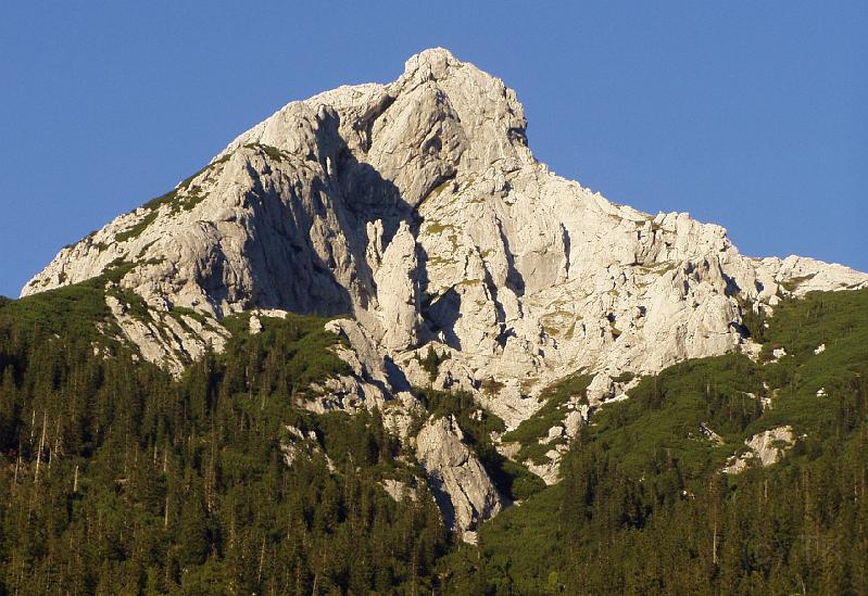 P9040090_030904_Guffert_Guffert_c.jpg - Guffert