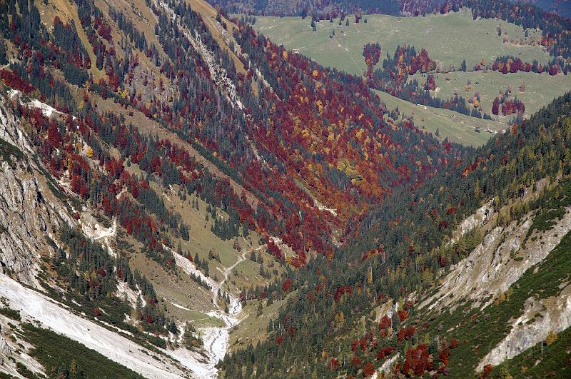 PICT82044_081011_Satteljoch_Herbst_p.jpg - Herbst im Karwendel