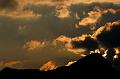 100626_T1504_GruenerUps