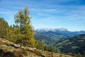 141019_1110_T03262_Spiessnaegel_hd