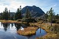 141019_1254_T03290_Spiessnaegel_hd