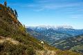 141019_1257_T03293_Spiessnaegel_hd
