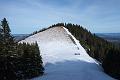 160206_1022_T06329_Stierkopf_hd