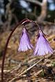 160410_1508_T06600_Reutte_hd