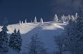 PICT75098_071216_Breitenstein_Winterwald