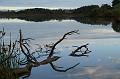 PICT96978_091025_Egglsee