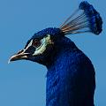 110403_T4930_WildparkPoing
