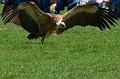 110403_T4991_WildparkPoing