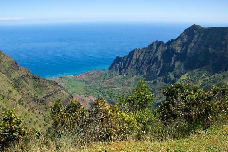150606_1007_A09415_PiheaTrail.jpg - Na Pali Coast: Kalalau Valley