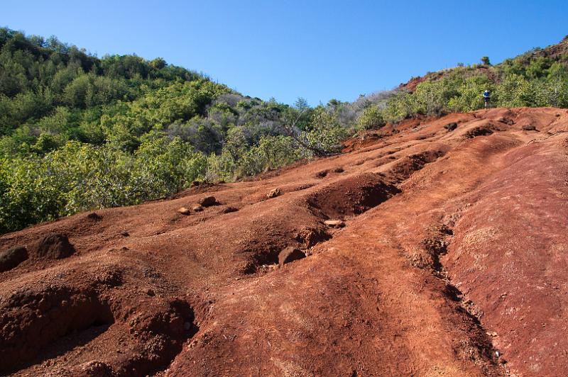 150607_0850_A09464_KukuiTrail.jpg - Kukui Trail hinunter in den Waimea Canyon