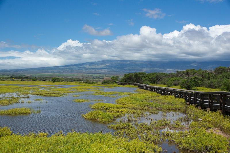 150612_1413_T03902_KealiaPond.jpg - Kealia Coastal Boardwalk (Kealia Pond), Blick auf den Haleakala