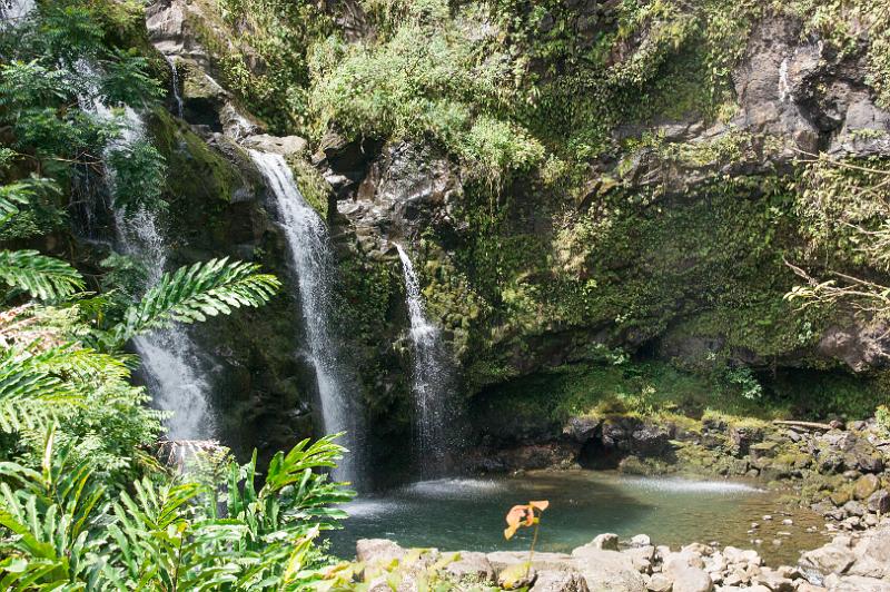 150613_1030_A09726_Hana.jpg - Hana Highway