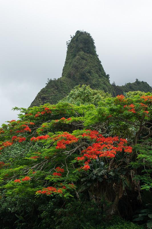 150615_1114_T04200_IaoValley.jpg - Ioa Valley, Iao Needle