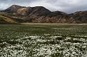 100715_A1738_Landmannalaugar