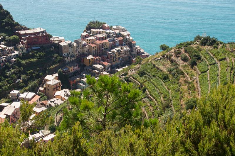 130920_1329_A07917_Monterosso_BorgoDeiCampi_hd.jpg - Manarola, Cinque Terre