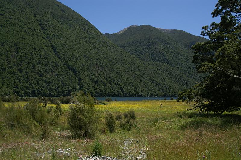 PICT9A0867_090111_LakeRotoiti.JPG - Lake Rotoiti (Nelson Lakes National Park), Blick von Lakehead auf den See
