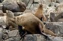 130104_1151_A06874_BrunyIsland_fhd