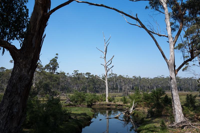 130106_1055_T00163_MariaIsland.jpg - Maria Island