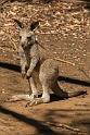 130103_1030_A06668_Tasman_fhd