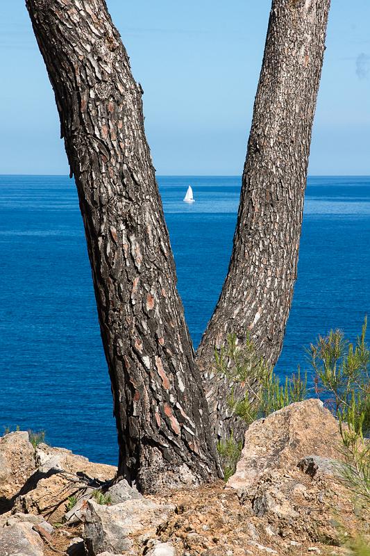 140525_1047_T01264_Deia_PortDeSoller_hd.jpg - An der Cala de Deia